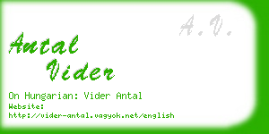 antal vider business card